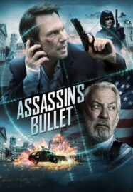 Assassins Bullet (2012) ล่าแผนเพชฌฆาตสังหาร