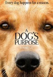 A Dog’s Purpose (2017) หมา เป้าหมาย และเด็กชายของผม