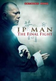 Ip Man The Final Fight (2013) หมัดสุดท้าย ปรมาจารย์ยิปมัน