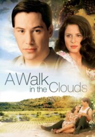 A Walk in the Clouds (1995) จะขอบูชาหัวใจเธอไว้ที่วิมานเมฆ