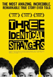 Three Identical Strangers (2018)