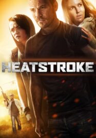 Heatstroke (2013) อีกอึดหัวใจสู้เพื่อรัก