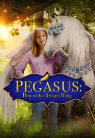 Pegasus Pony with a Broken Wing (2019)