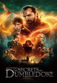 Fantastic Beasts The Secrets of Dumbledore (2022) สัตว์มหัศจรรย์ ความลับของดัมเบิลดอร์