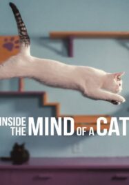 Inside the Mind of a Cat (2022)