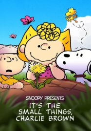 Snoopy Presents It s the Small Things Charlie Brown (2022)