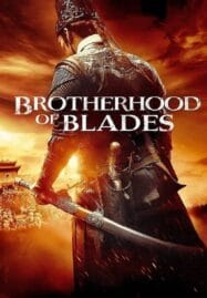 Brotherhood of Blades (2014) มังกรพยัคฆ์ ล่าสะท้านยุทธภพ