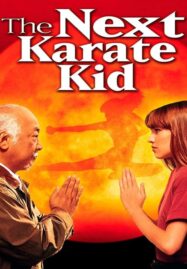 The Next Karate Kid (1994)